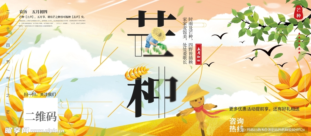 芒种