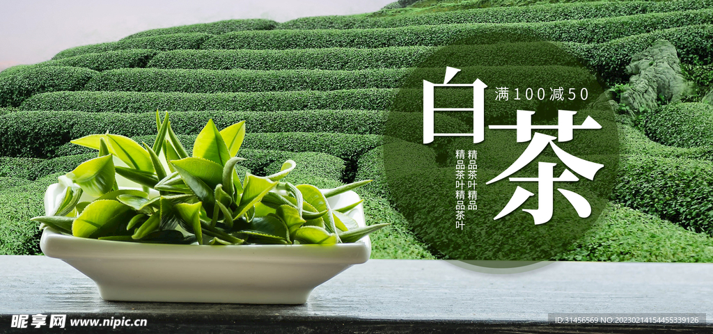白茶