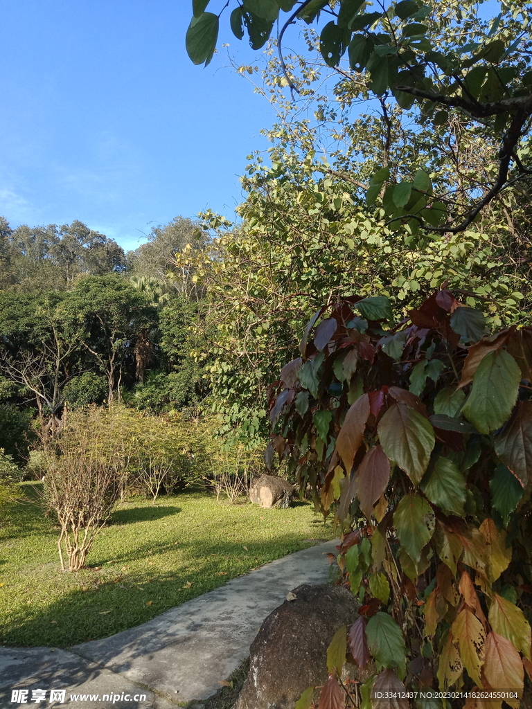 草地