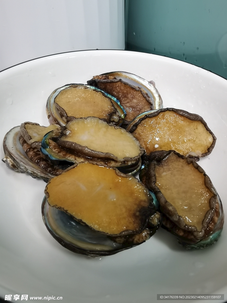 鲍鱼