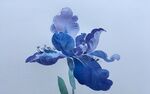 手绘花