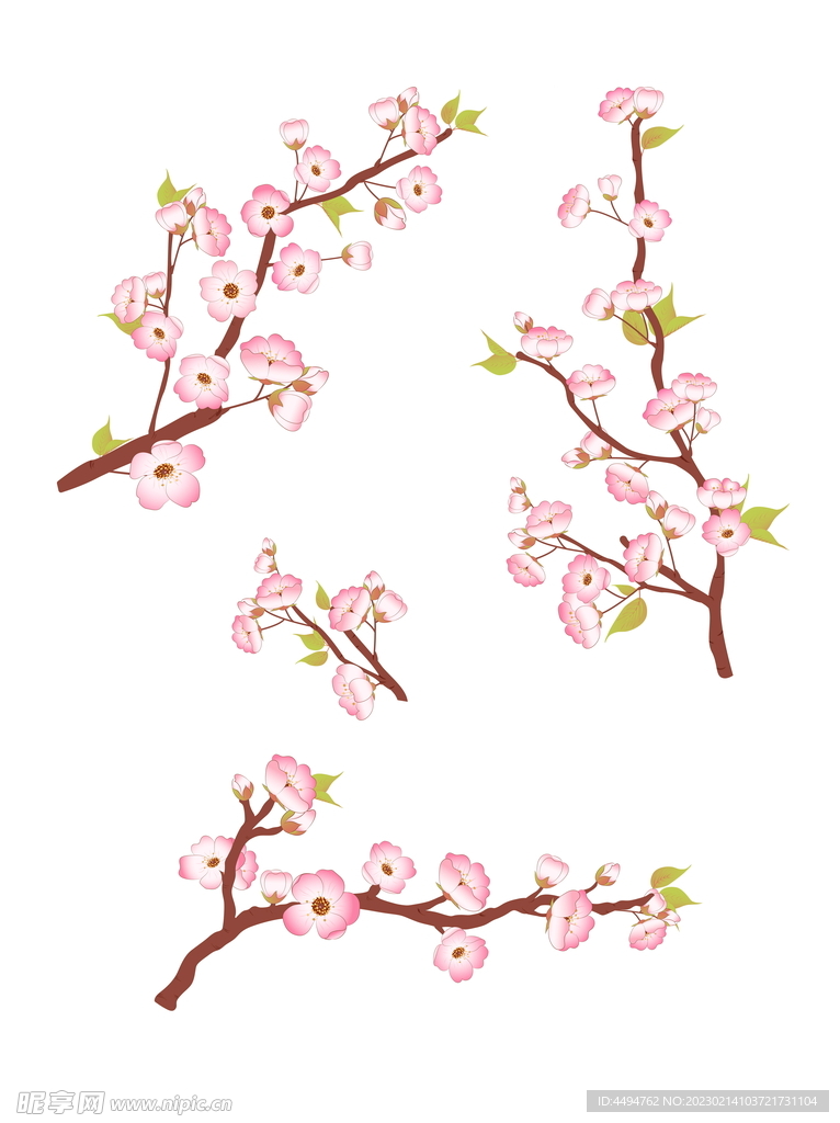 樱花