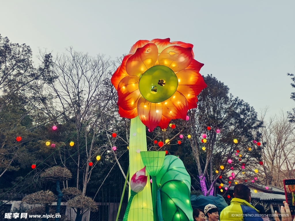 花灯