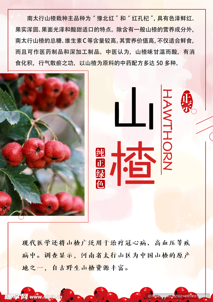 山楂