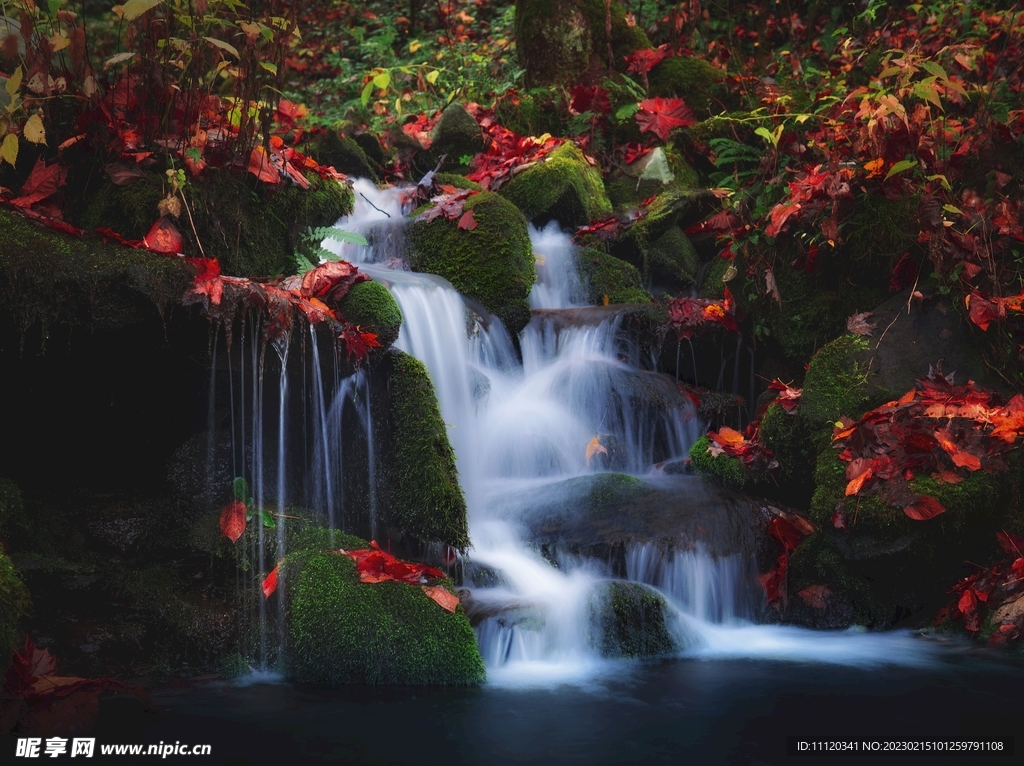 瀑布青苔与飘落的树叶摄影