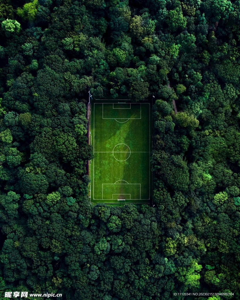 茂密树林环绕的足球场