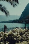 鲜花护栏湖光山色风景