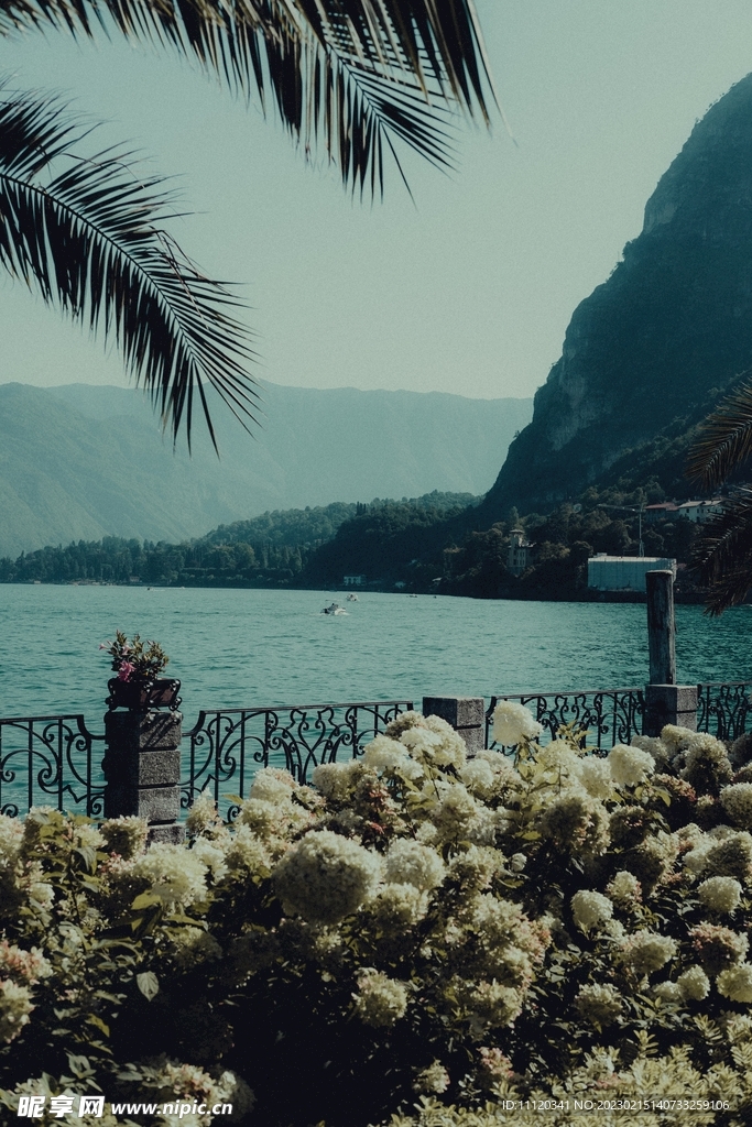 鲜花护栏湖光山色风景