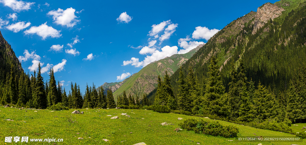 朵朵白云下的高山树林草地