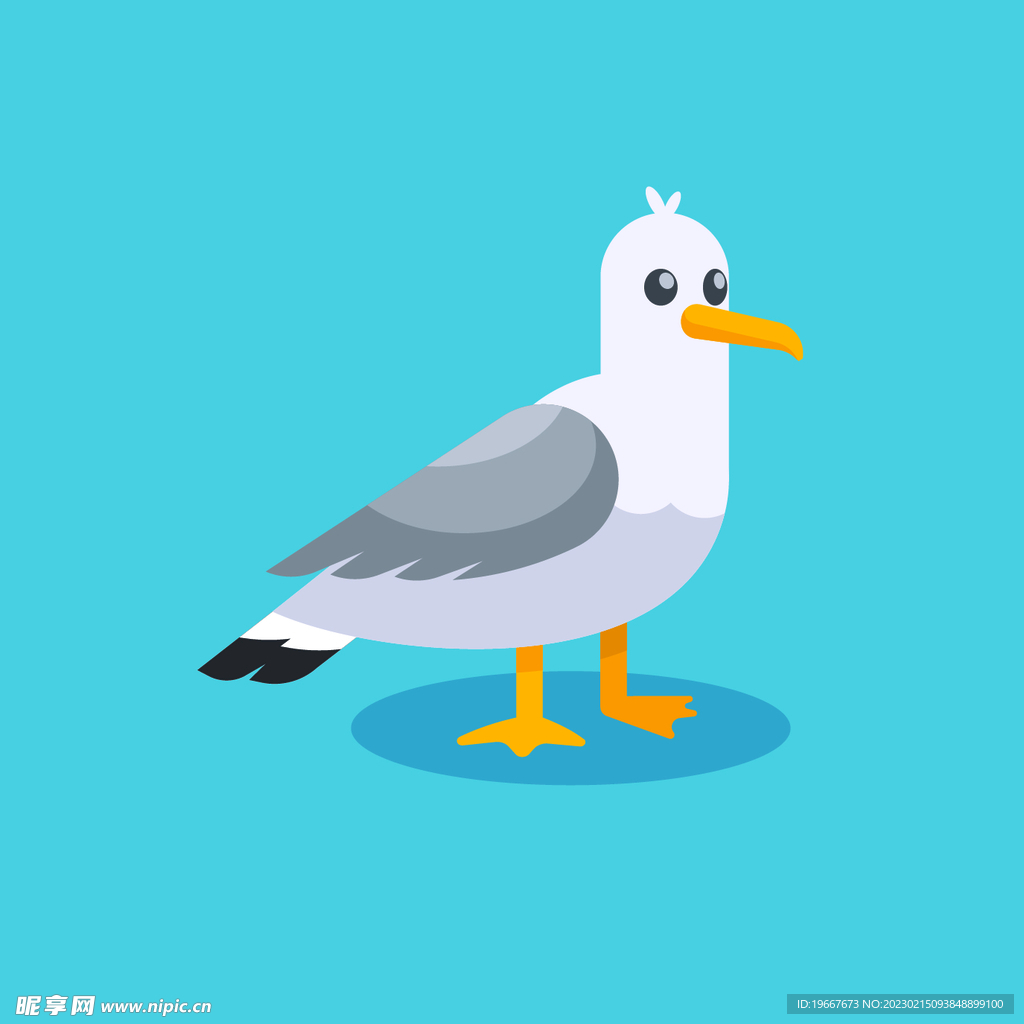 动物  