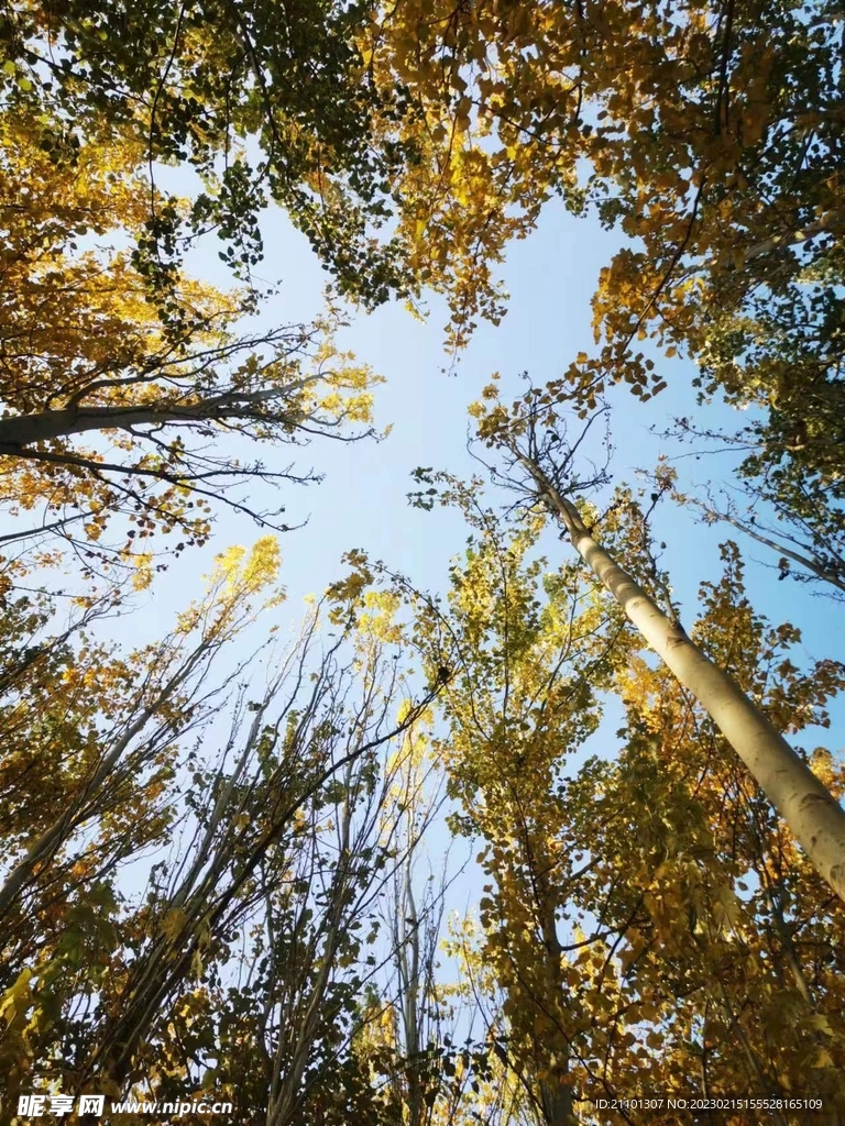 天空