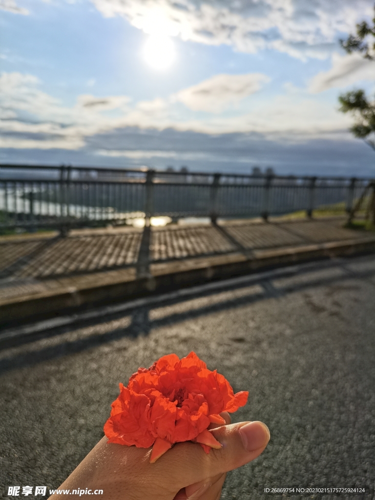 小红花