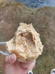 荞麦粑粑