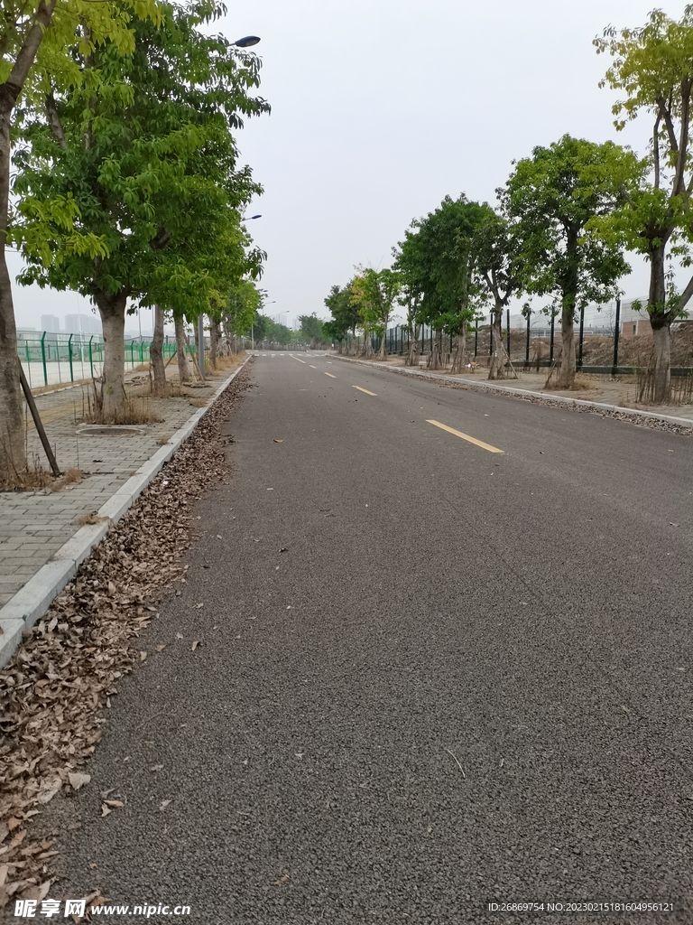 城市街道