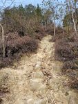 登山步道
