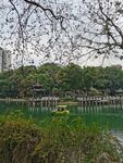 公园风景