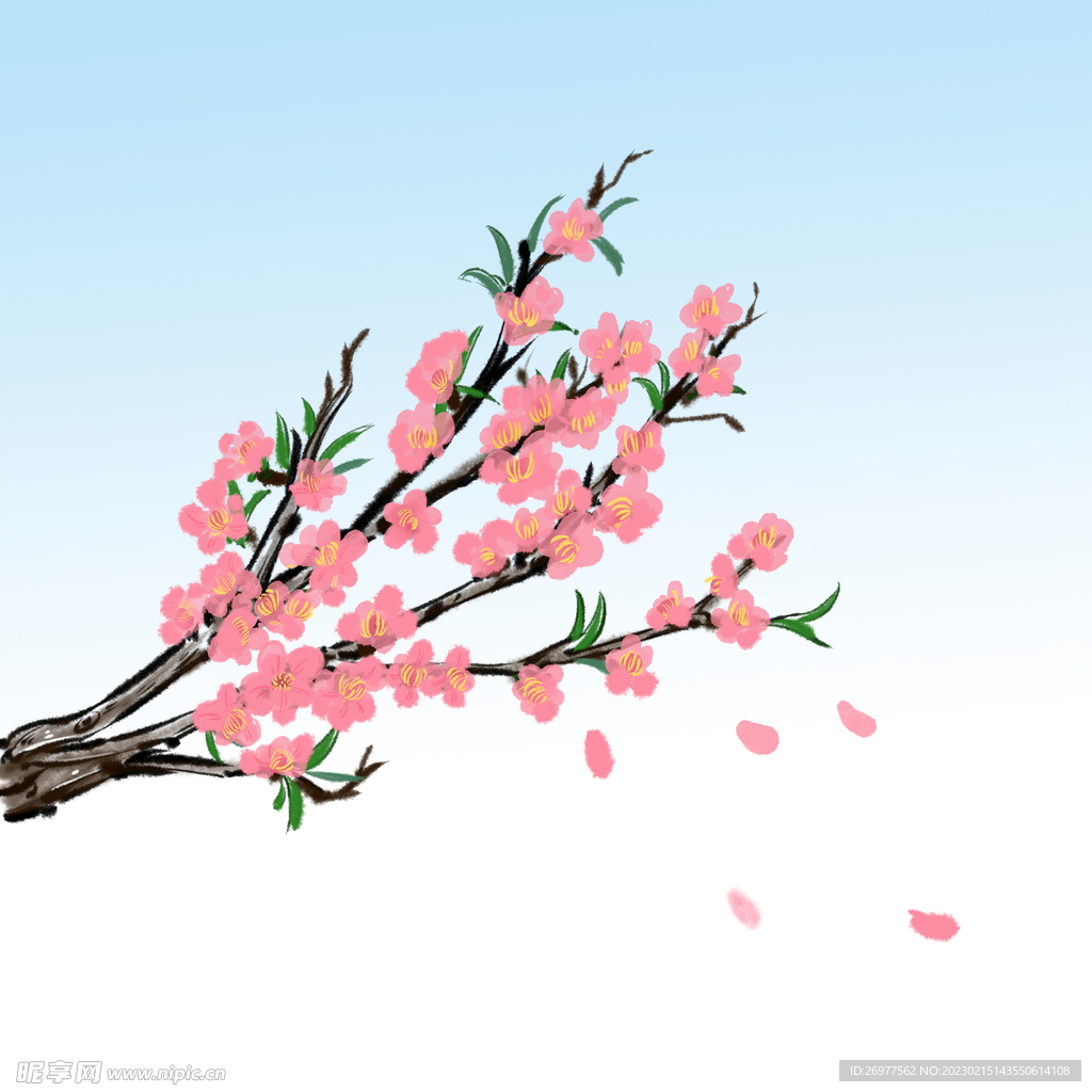  桃花 