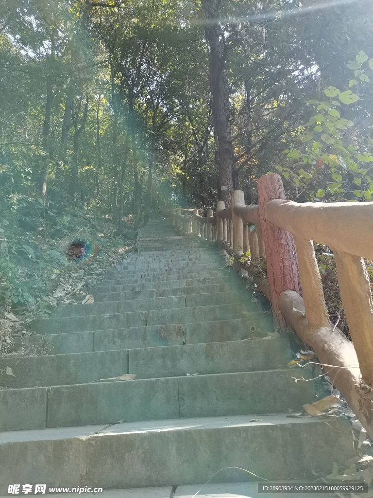 光圈