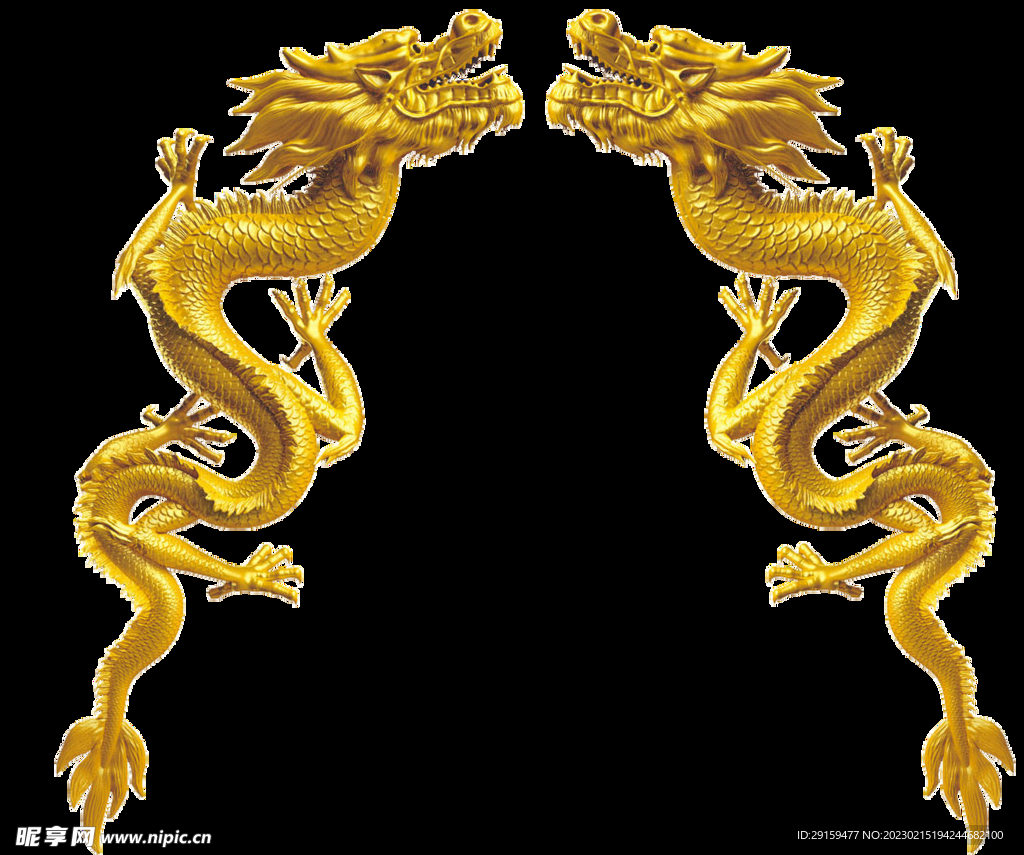 金龙