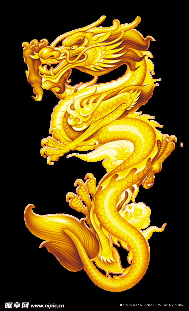 金龙 