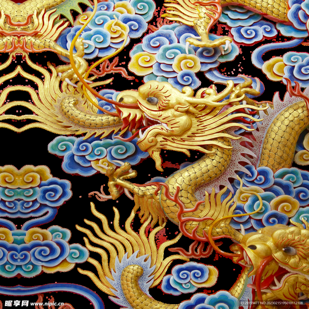 金龙 