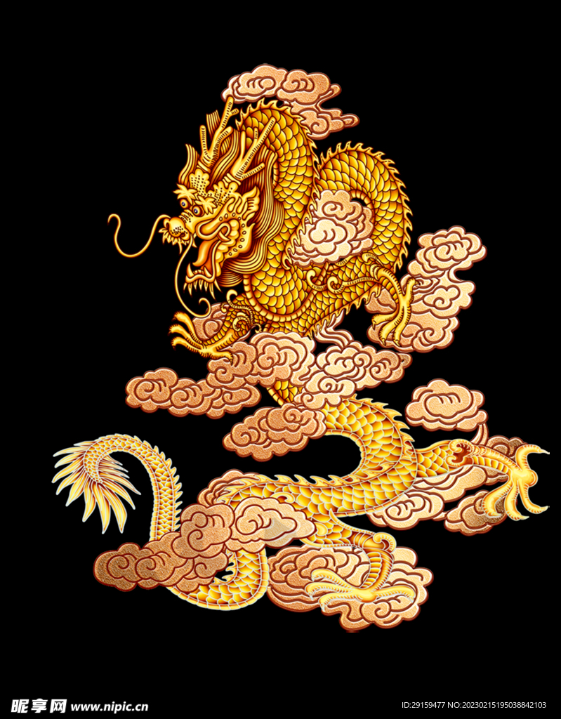 金龙 