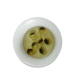 胎菊 杭白菊