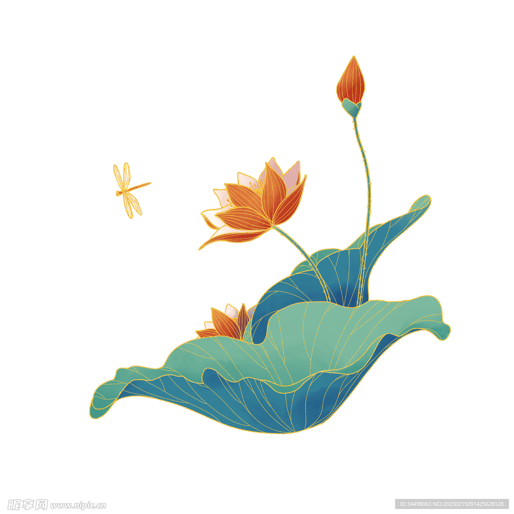 荷花
