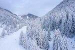 冬季大雪后的山林美景摄影