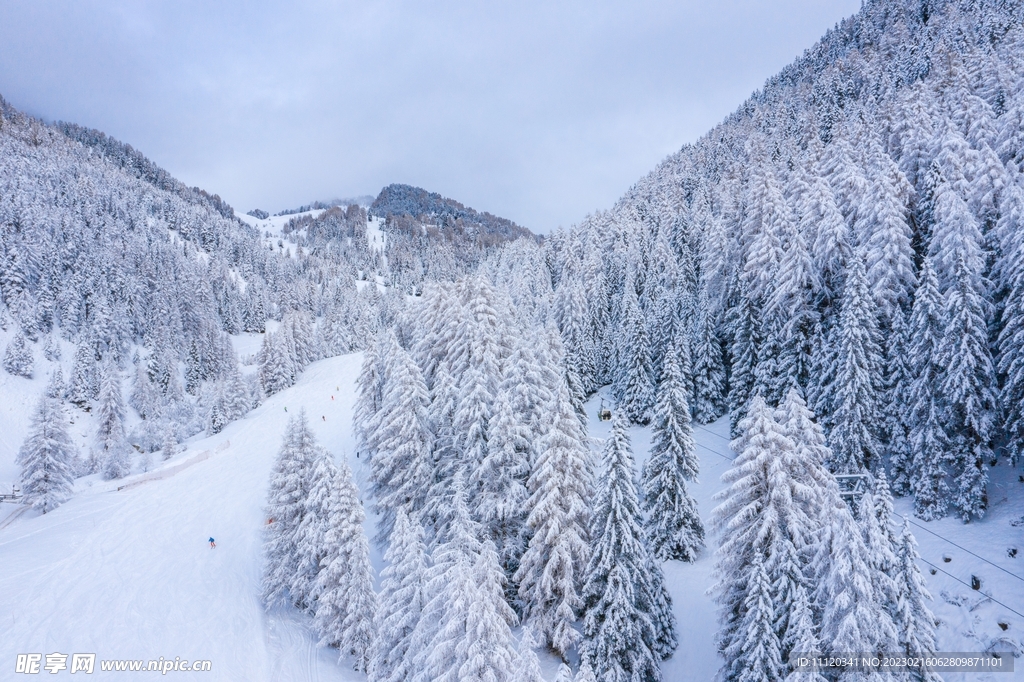 冬季大雪后的山林美景摄影