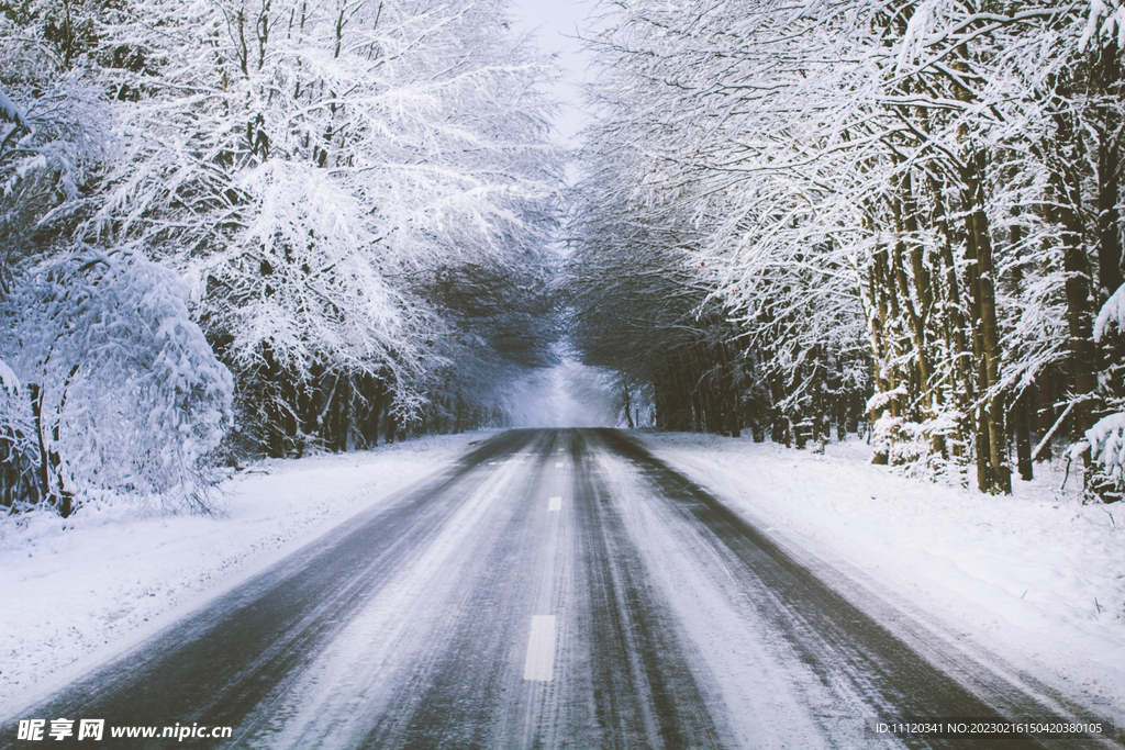 冬季雪后林中道路景观