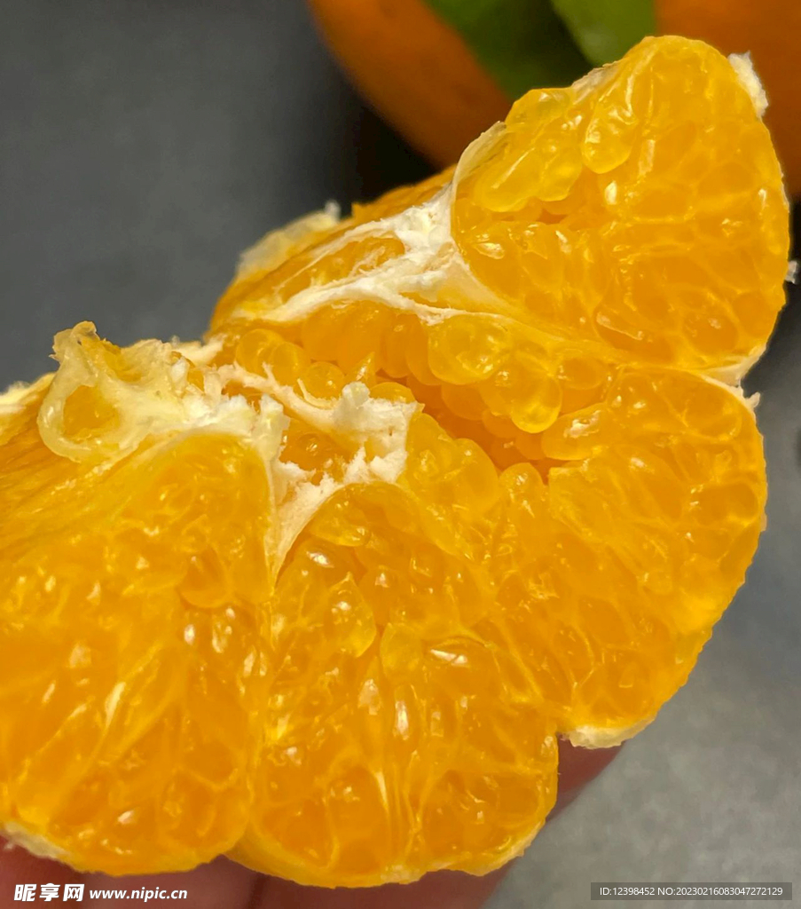 耙耙柑