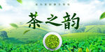 茶叶背景