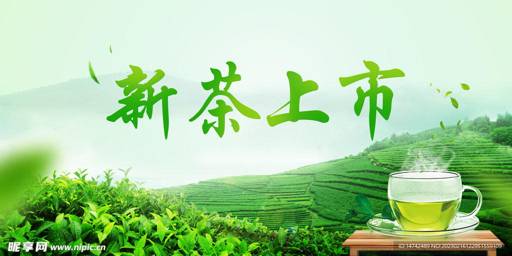 新茶上市