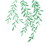 树枝