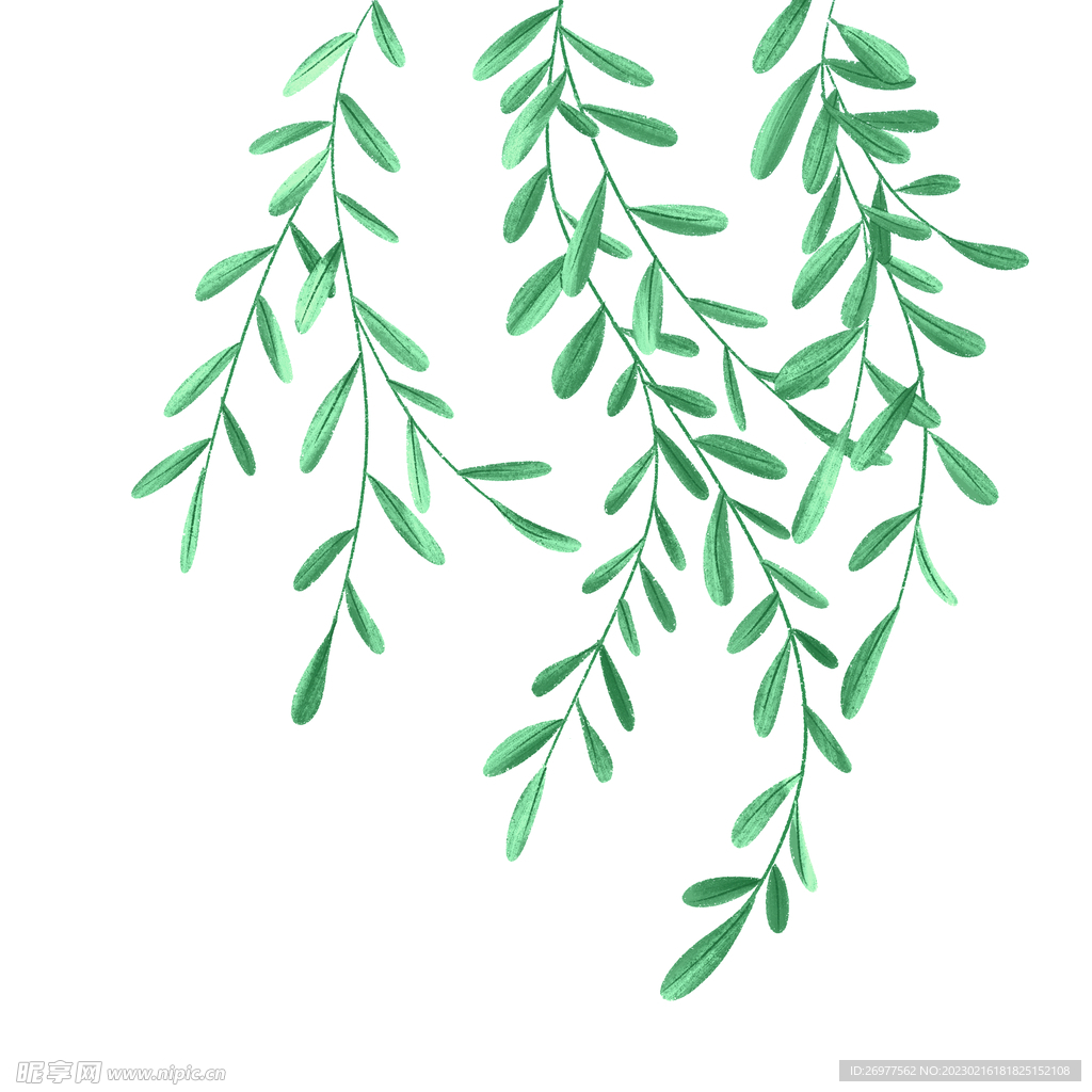 树枝