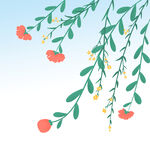  花枝 