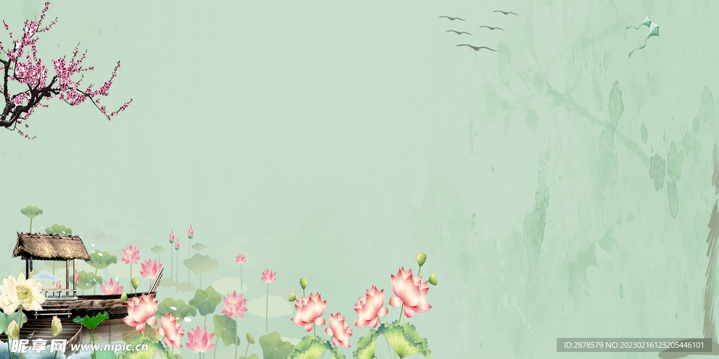 荷花  