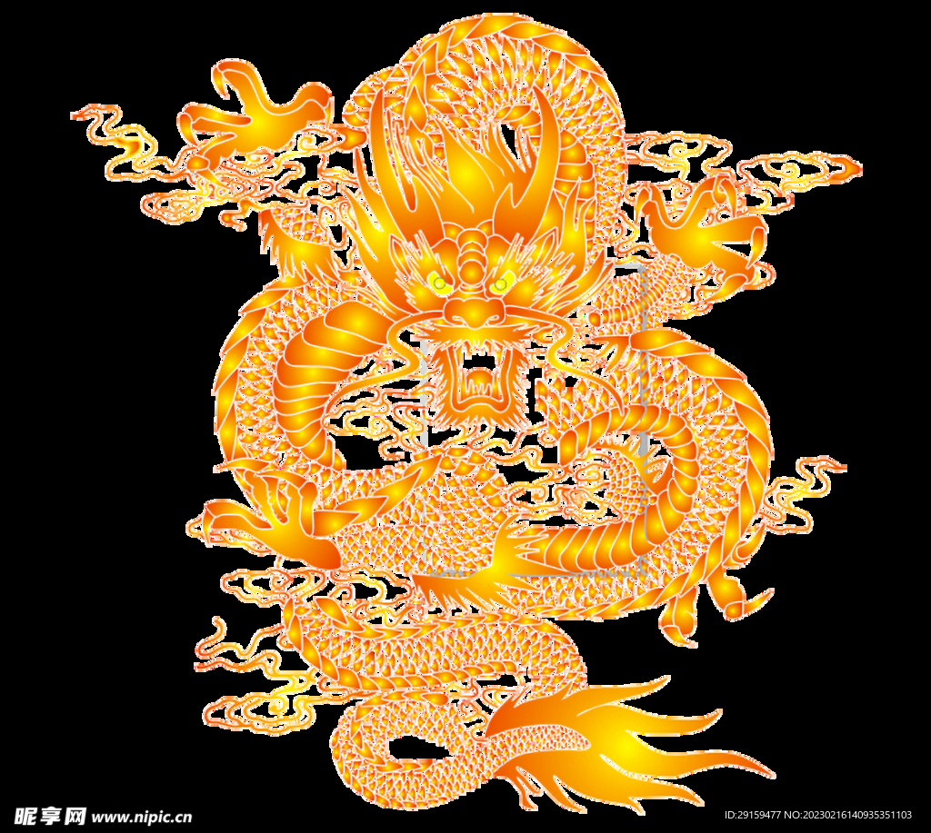 金龙 