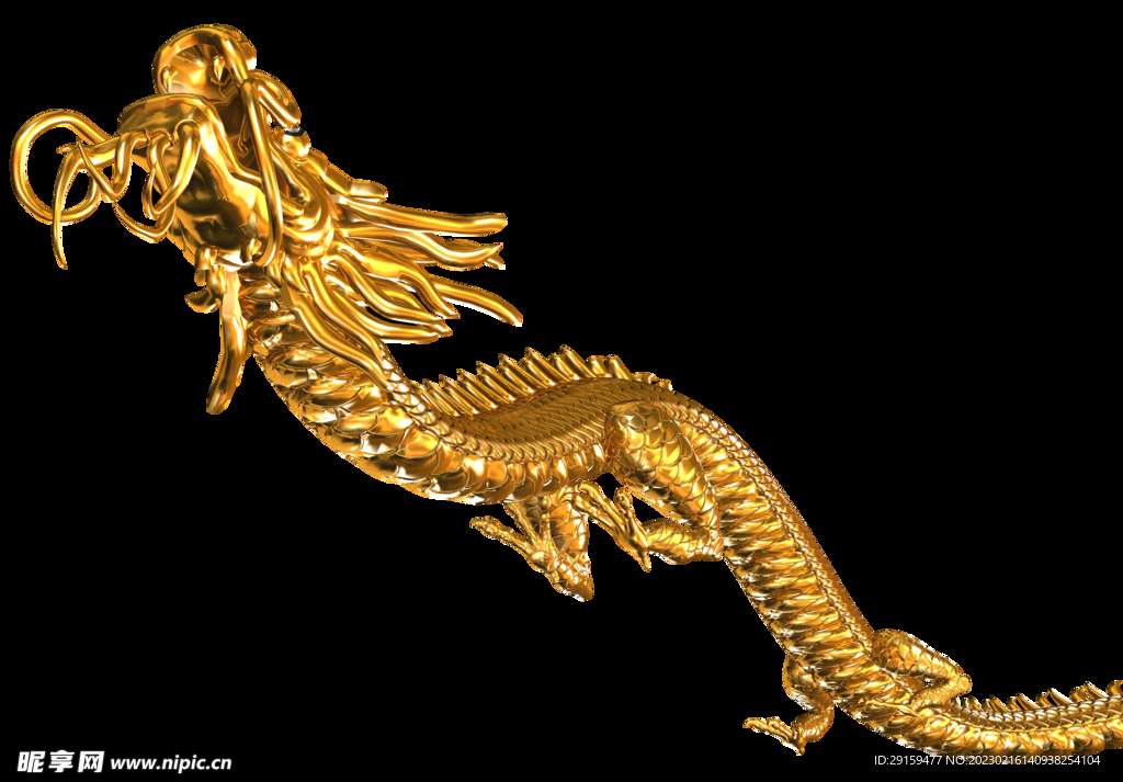 金龙