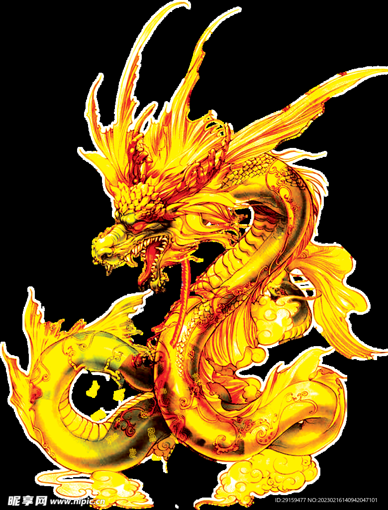 金龙 