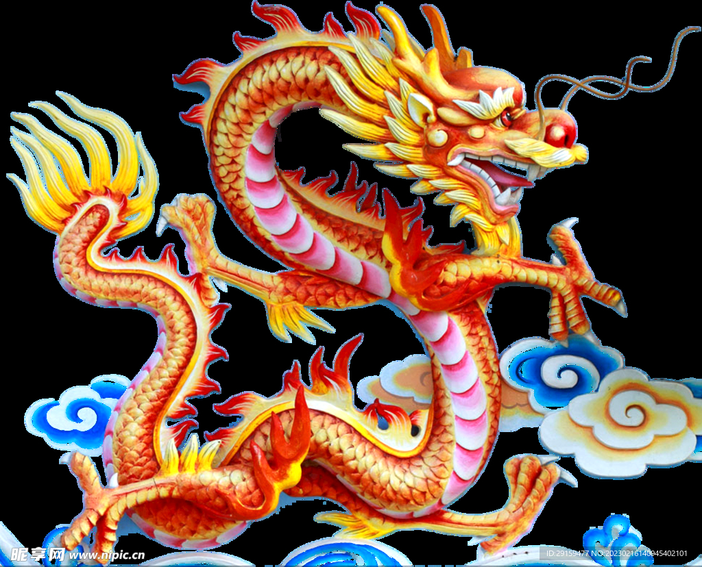 金龙 