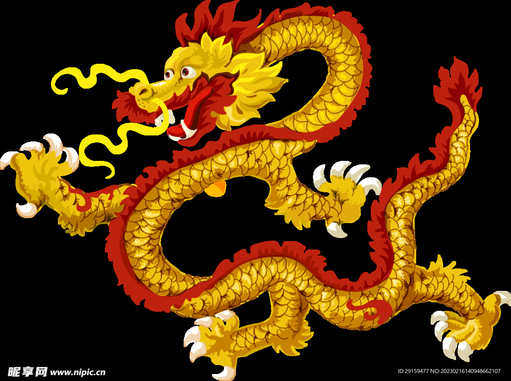 金龙 