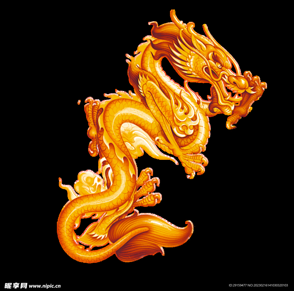金龙 
