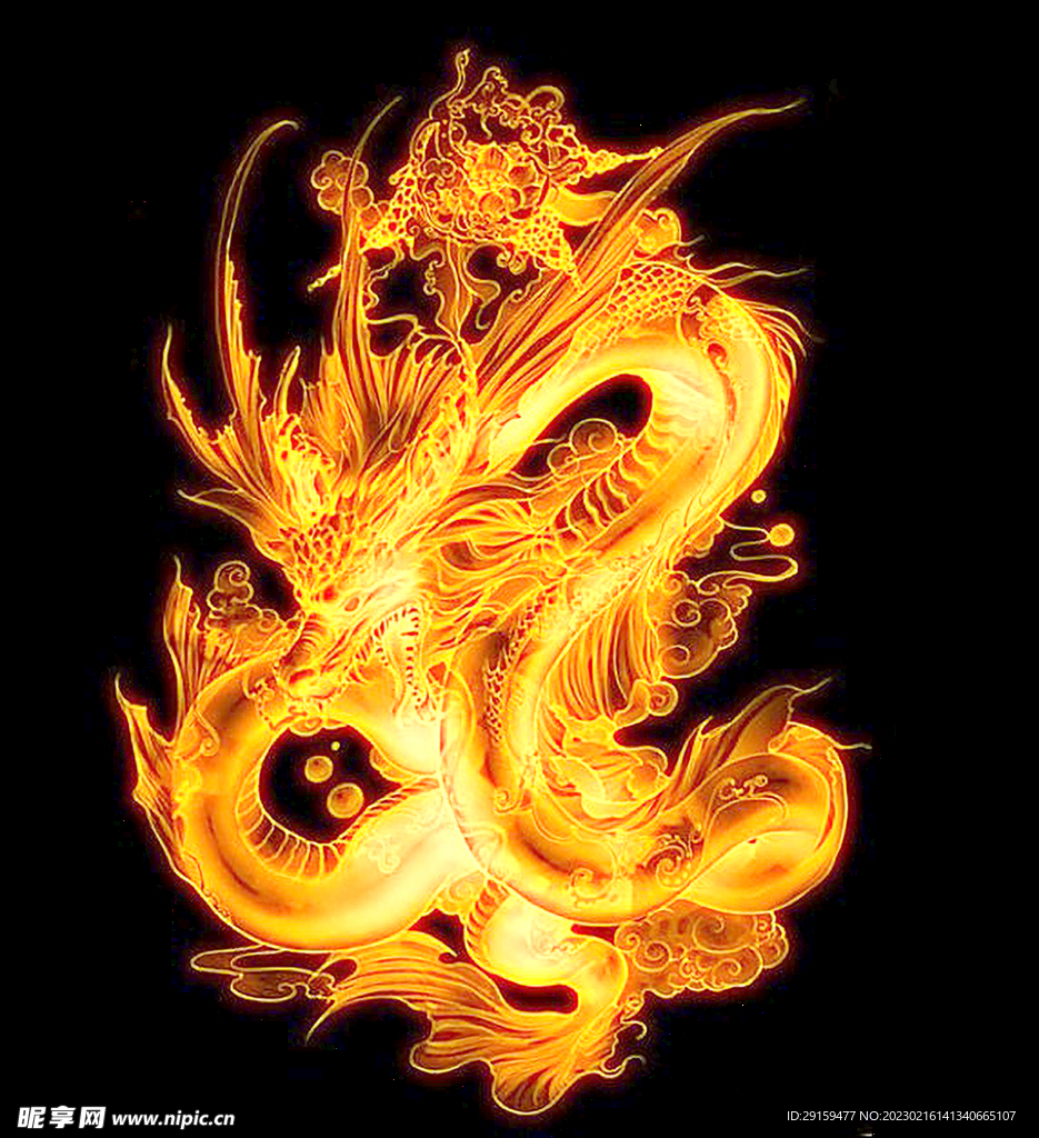 金龙 
