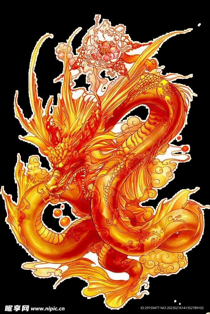 金龙