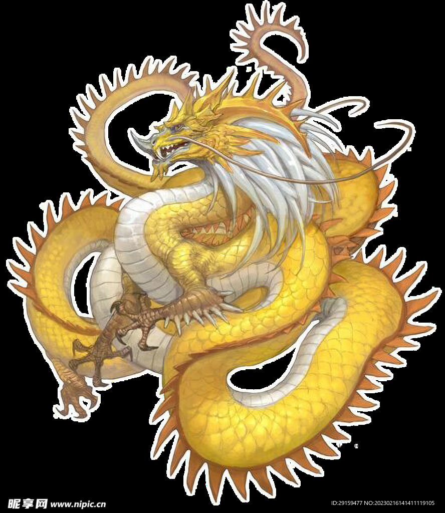 金龙 