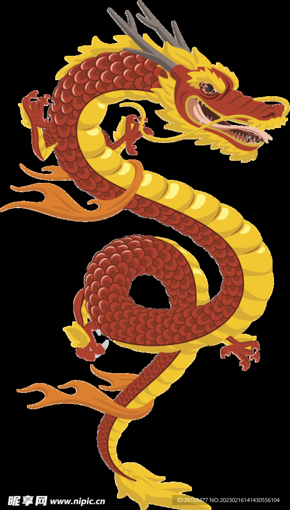 金龙 