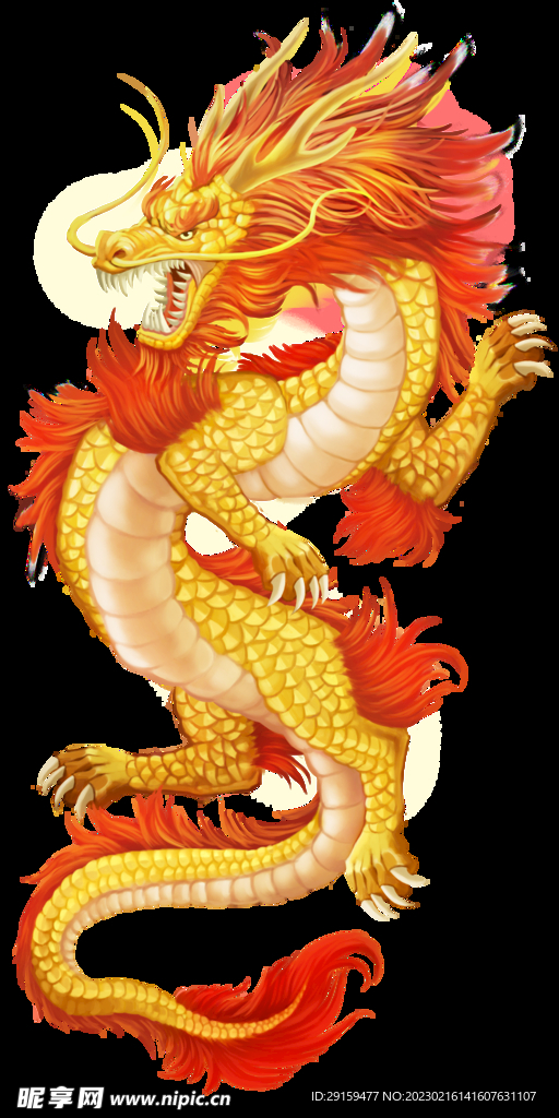 金龙 