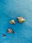 大海
